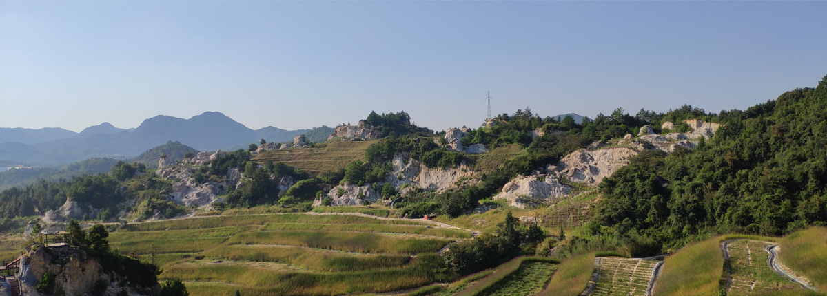 中联兴环保稀土矿山生态治